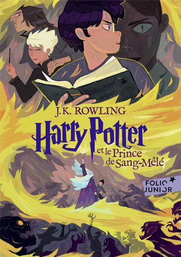 Picture of Harry Potter Et Le Prince De Sang Mele V6