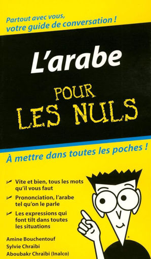 Picture of Dictionary Arabe Pour Les Nuls