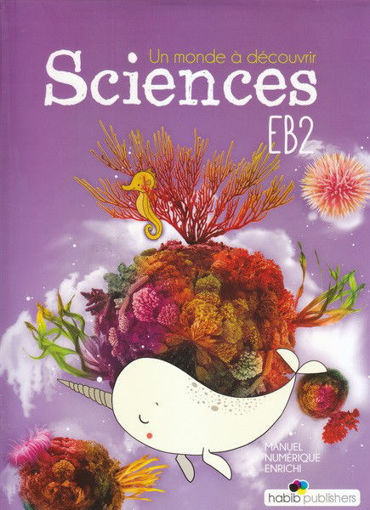 Picture of SVT  EB2 Habib