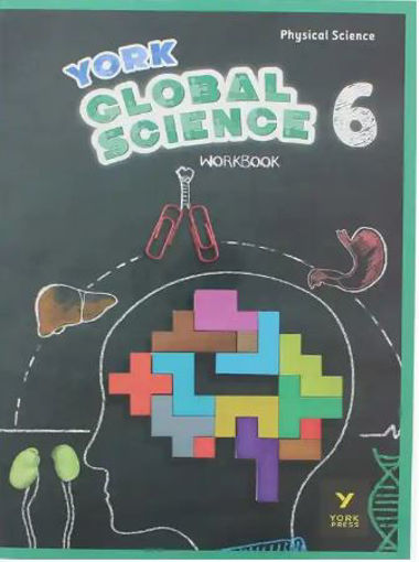Picture of York Global Physical Science WB 6 York Press