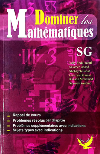 Picture of Dominer Les Maths SG 2006