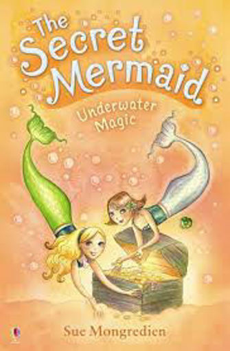 Picture of The Secret Mermaid Underwater Magic