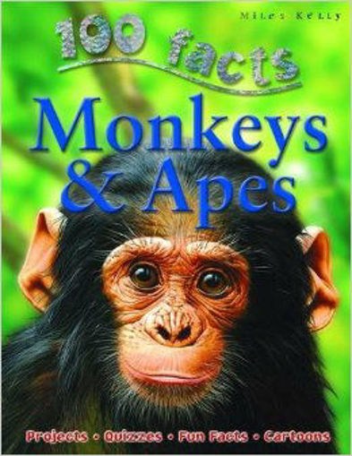 Picture of English  Miles Kelly ,Monkey & Apes