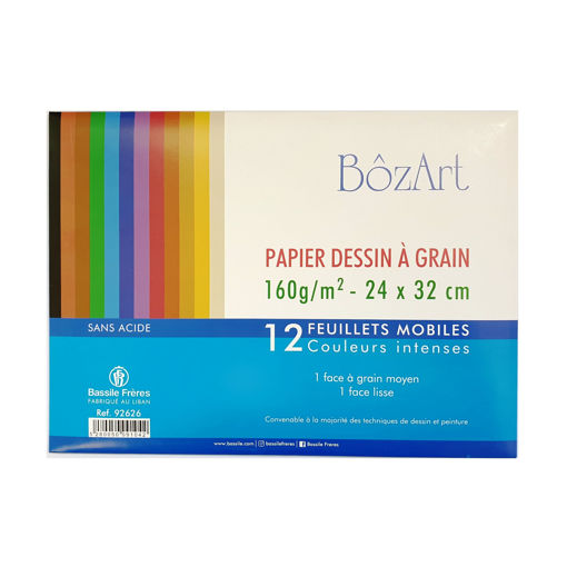 Picture of Drawing Grained Paper 24x32 12 Sheets Multi Colors