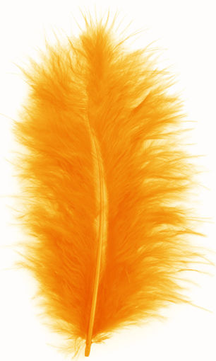 Picture of Feathers Orange 20pcs Craft for all