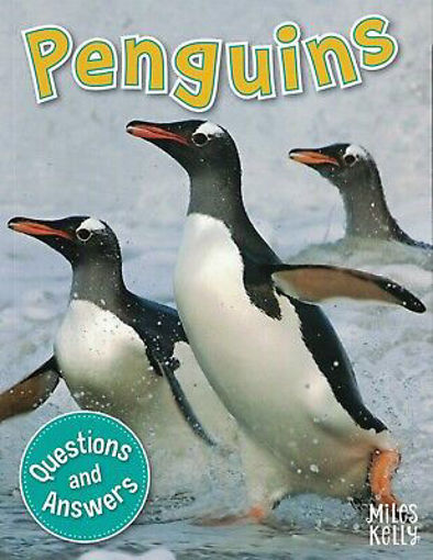 Picture of My Question And Answer Penguins