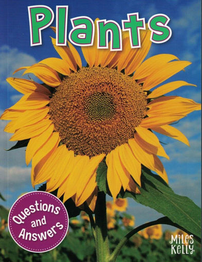Picture of My Question And Answer Plants