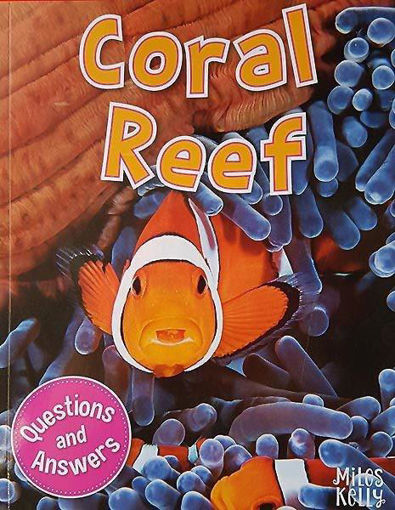 Picture of My Question And Answer Coral Reef Miles kelly