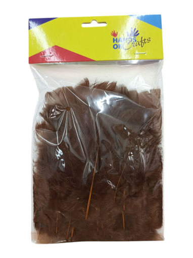 Picture of Feathers 35pcs Brown 16cm Hand Craft