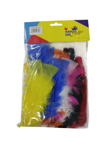 Picture of Feathers 35pcs Colored 16cm Hand Craft