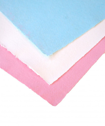 Picture of Buvard paper