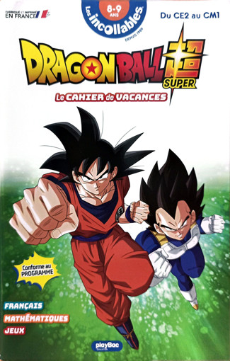 Picture of Cahier De Vacances  Du CE2 Au CM1