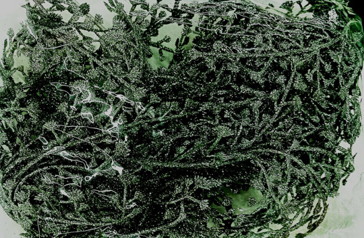 Picture of Tree Ornament Silver/Green Garland Edelman