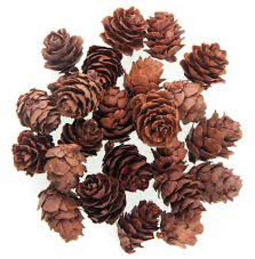 Picture of Pine cones 30g 2-3cm CA-693