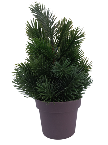 Picture of Christmas Tree Small Green Edelman