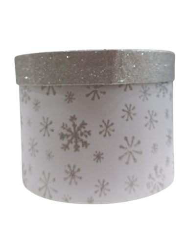 Picture of Box For Gift 20x20cm Silver Snowflake Edelman