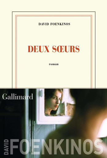 Picture of David Foenkinos, Deux Soeurs