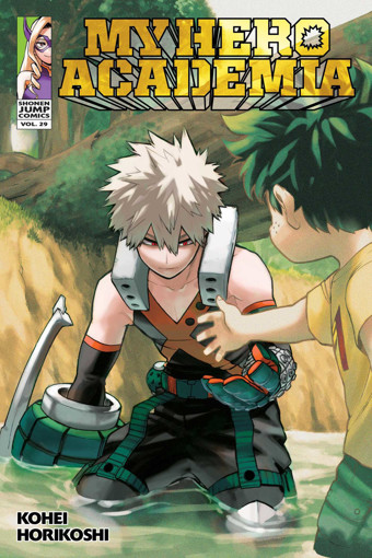 Picture of My Hero Academia V.29