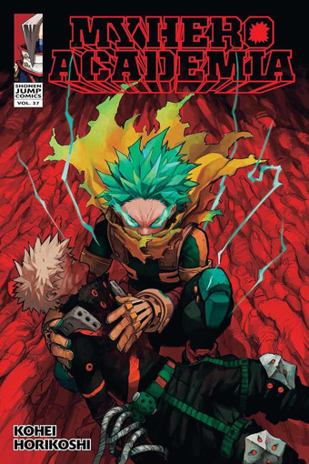 Picture of My Hero Academia V.37