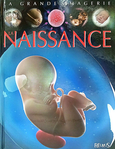 Picture of La Naissance Fleurus