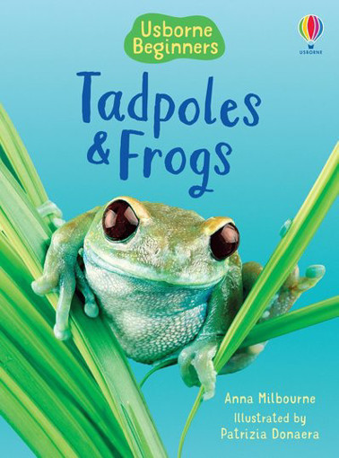 Picture of Tadpoles And Frogs  Usborne