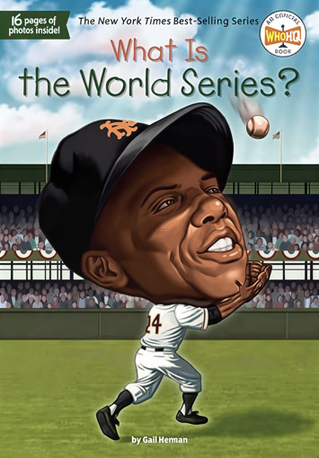Picture of What Is The World Series?