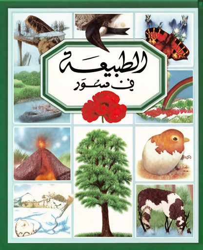 Picture of الطبيعة في صور