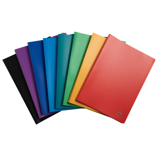 Picture of Clear book A4 20pockets Exacompta
