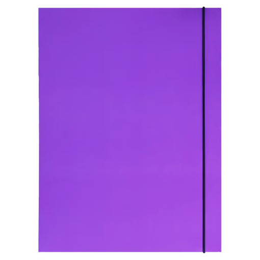 Picture of Elastic File B4 Purple 380gr Carton Bassile