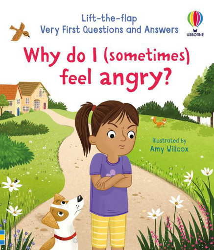 Picture of Why Do I Sometimes Feel Angry ?  Usborne