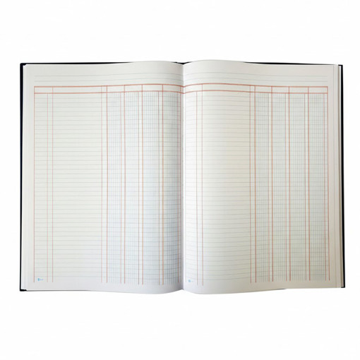 Picture of Analysis Book B4 100 Sheets 4 Columns Bassile