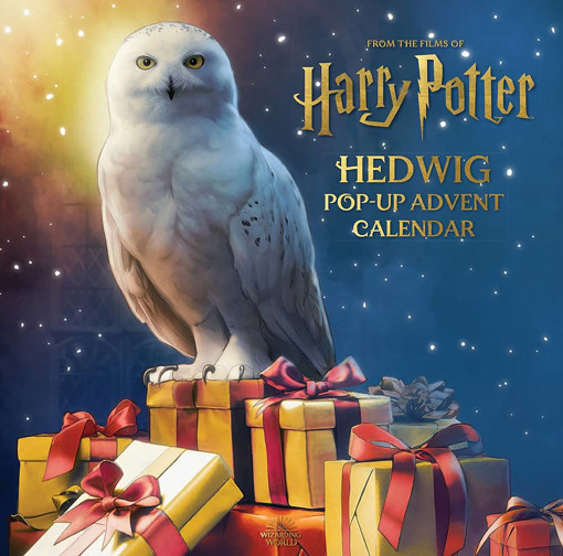 Picture of Harry Potter Advent Calendar